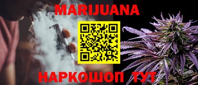 гидра Бийск