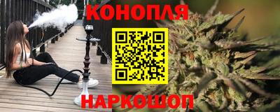 прущие крисы Гатчина