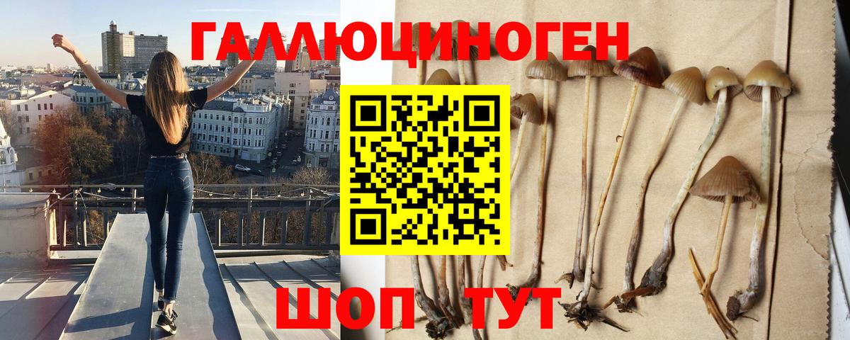 Псилоцибиновые грибы ЛСД  Вход с VPN  Гусиноозёрск 
